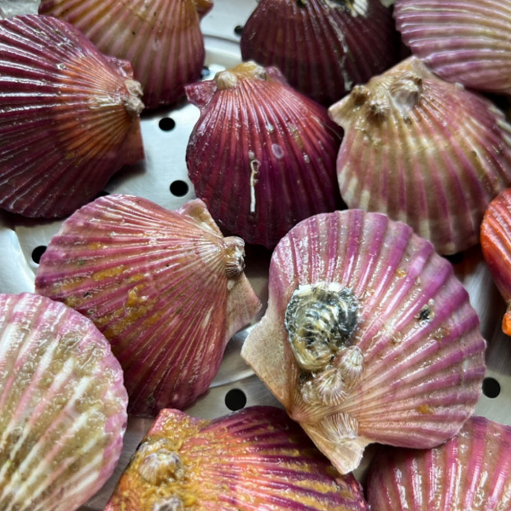 1700800804 thumbnail