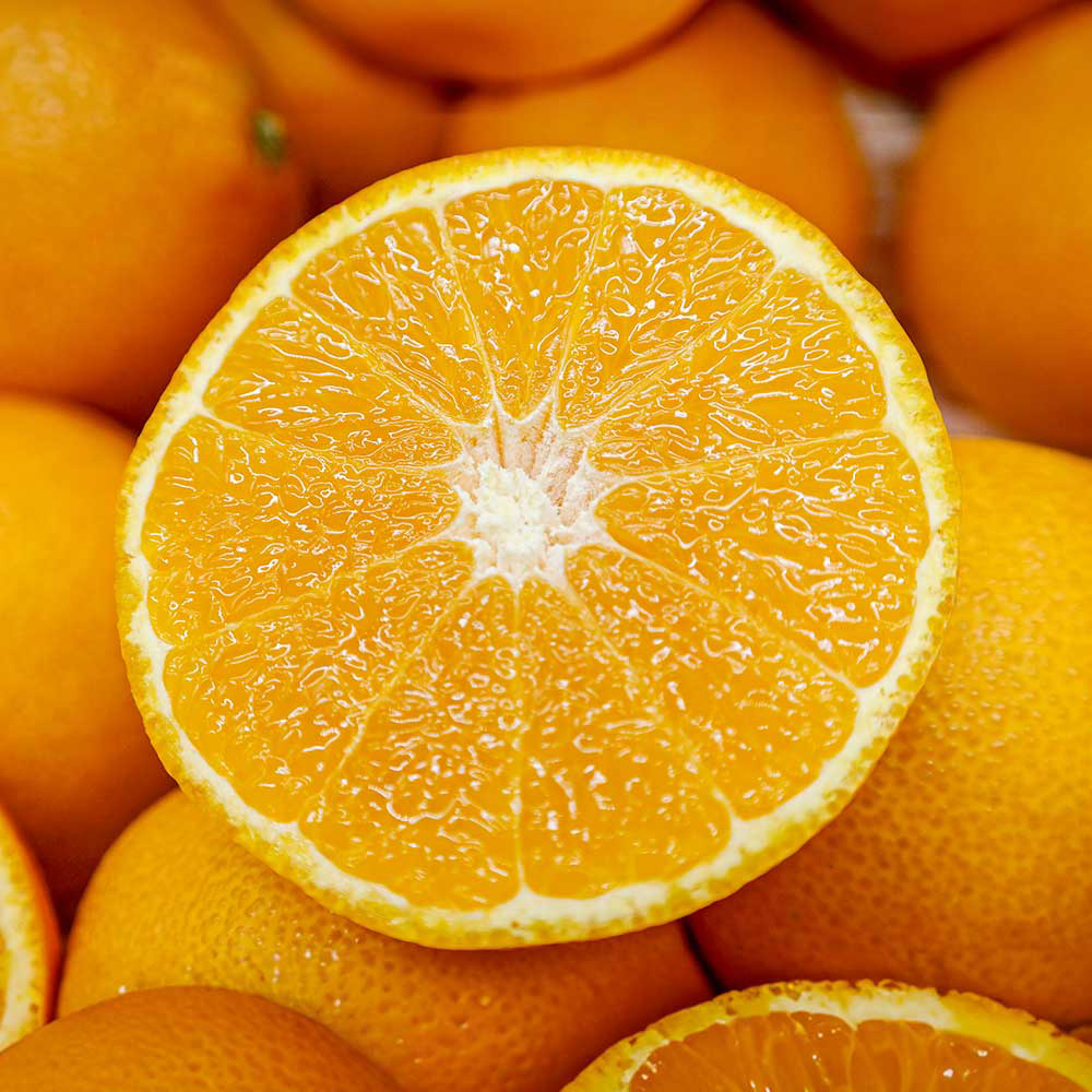 1700805974 thumbnail