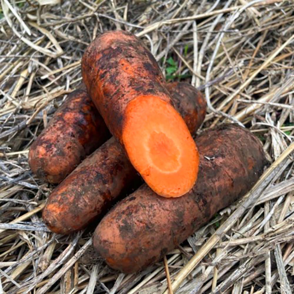 1701147150 thumbnail