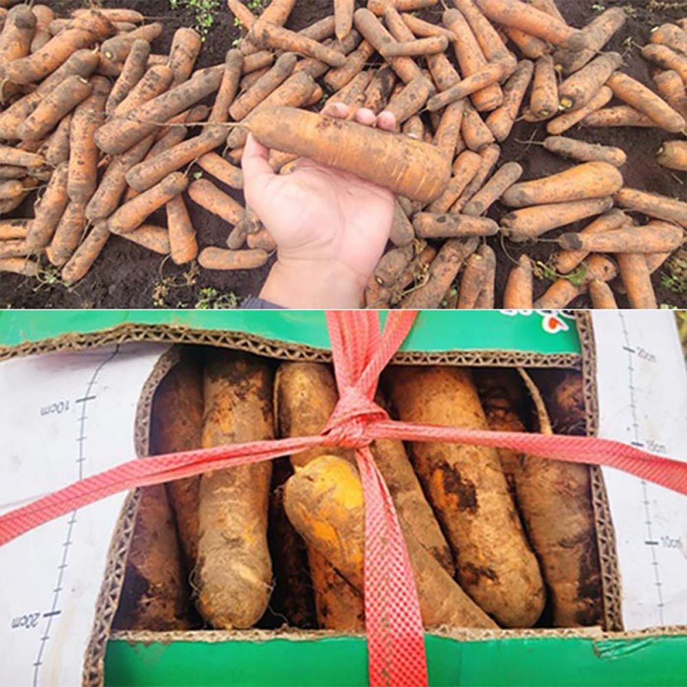 1701147151 thumbnail