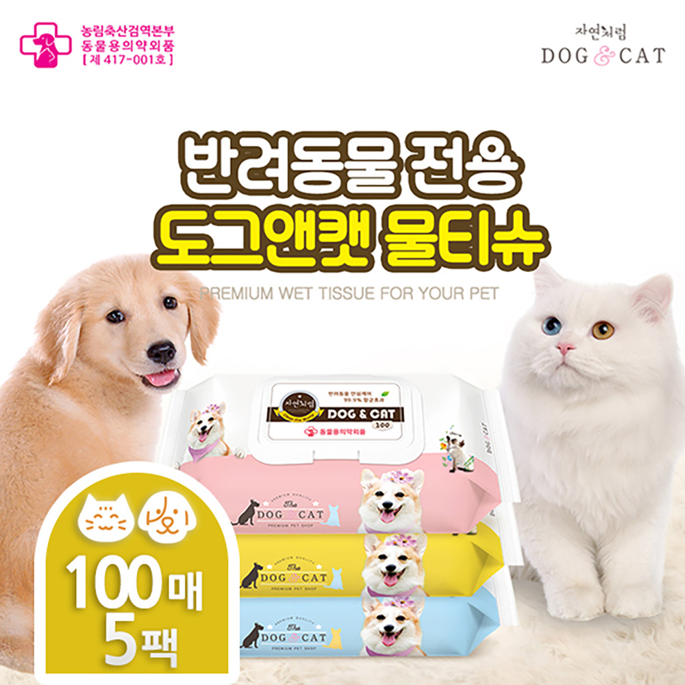 1701158231 thumbnail