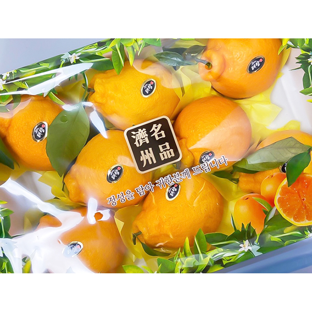 1701220934 thumbnail