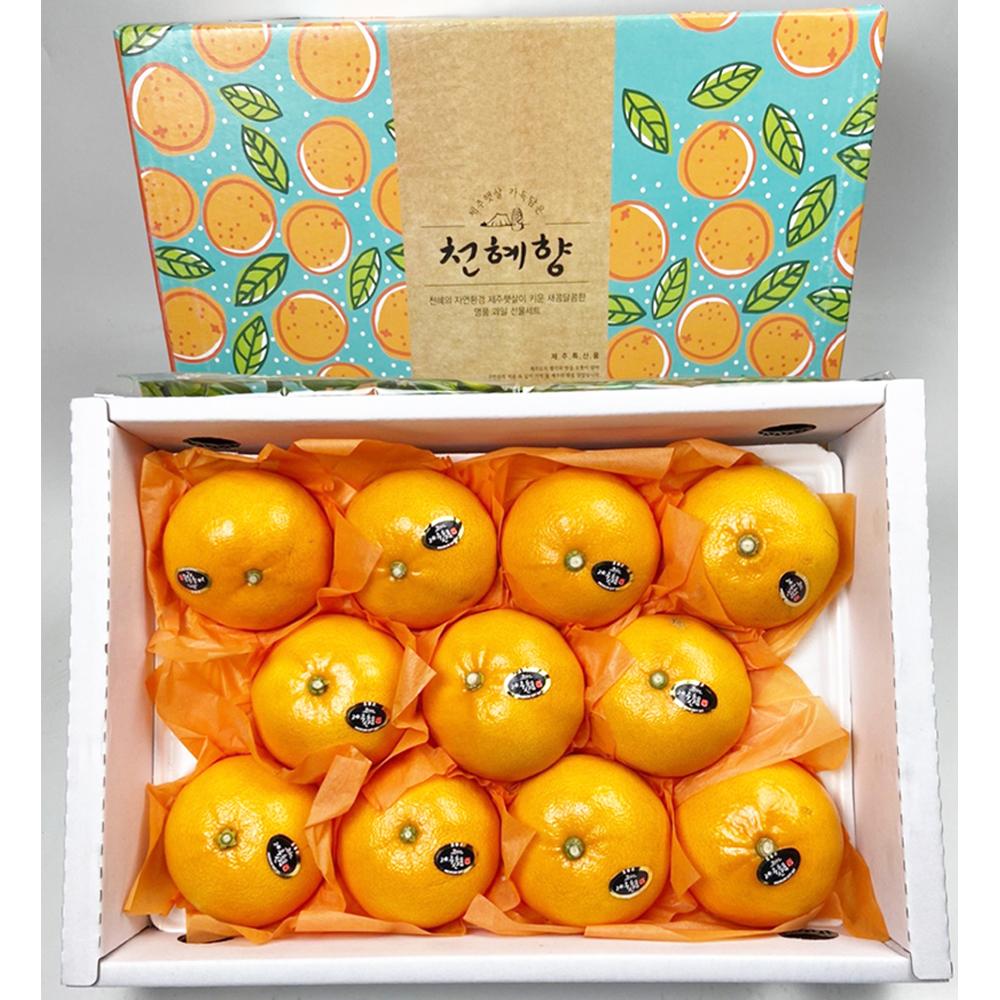 1701220936 thumbnail