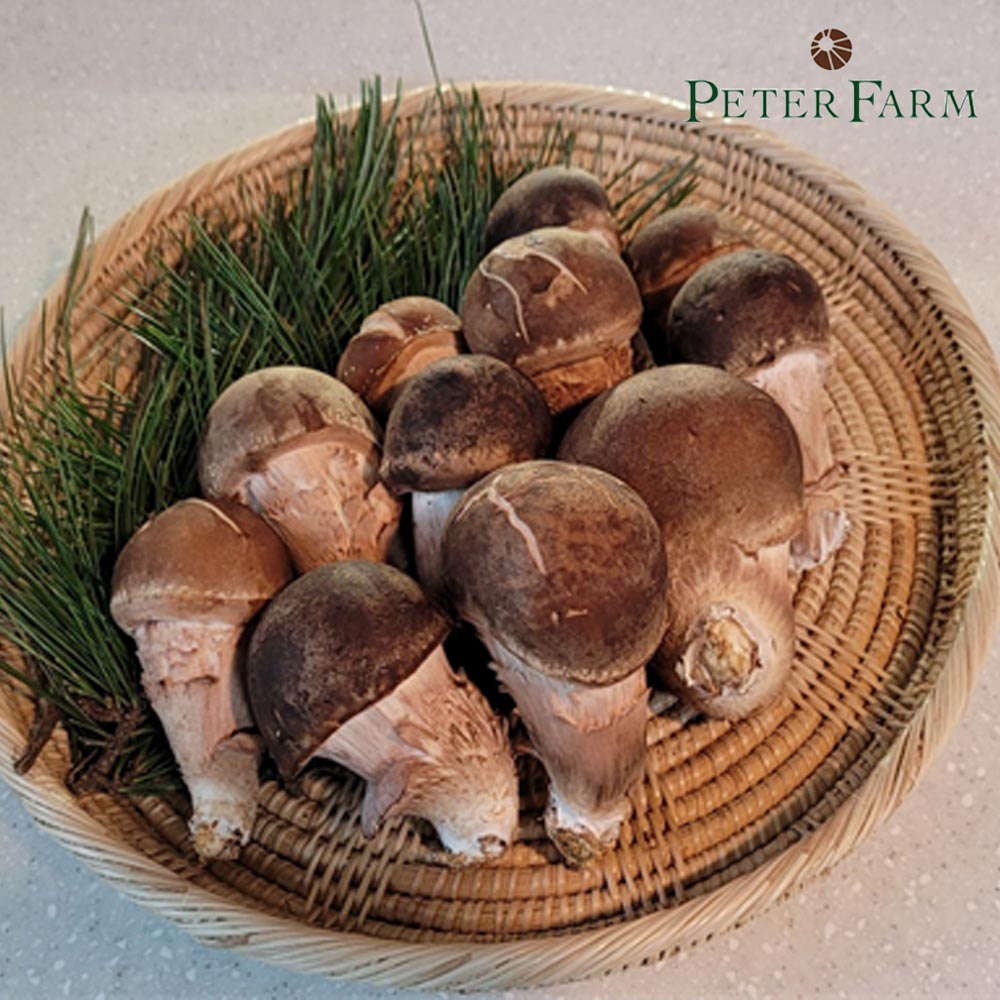 1701229123 thumbnail