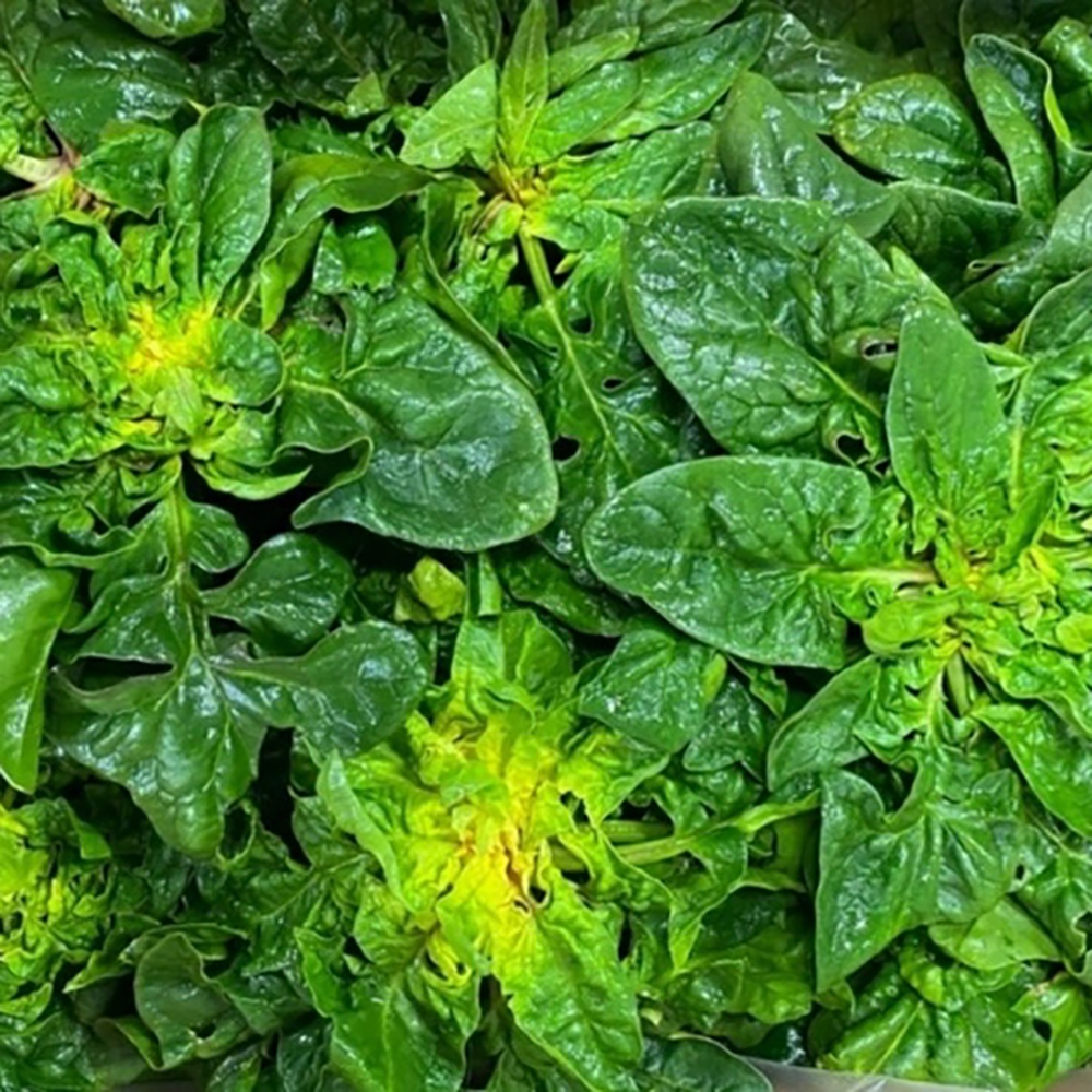 1701232311 thumbnail