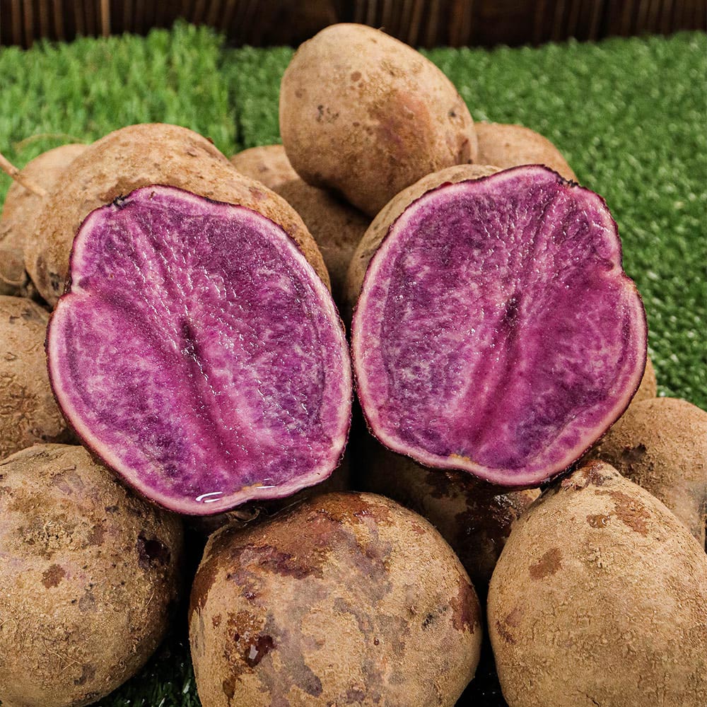 1701243223 thumbnail