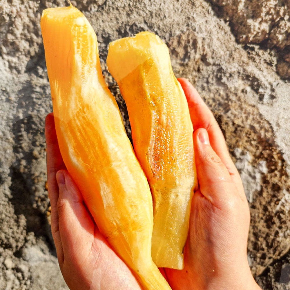 1701243225 thumbnail