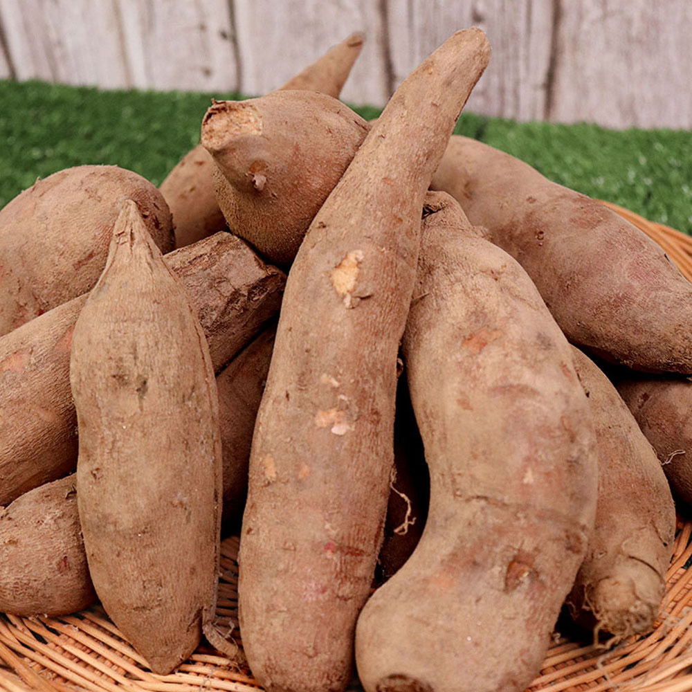 1701243226 thumbnail