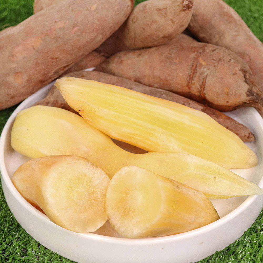 1701243229 thumbnail