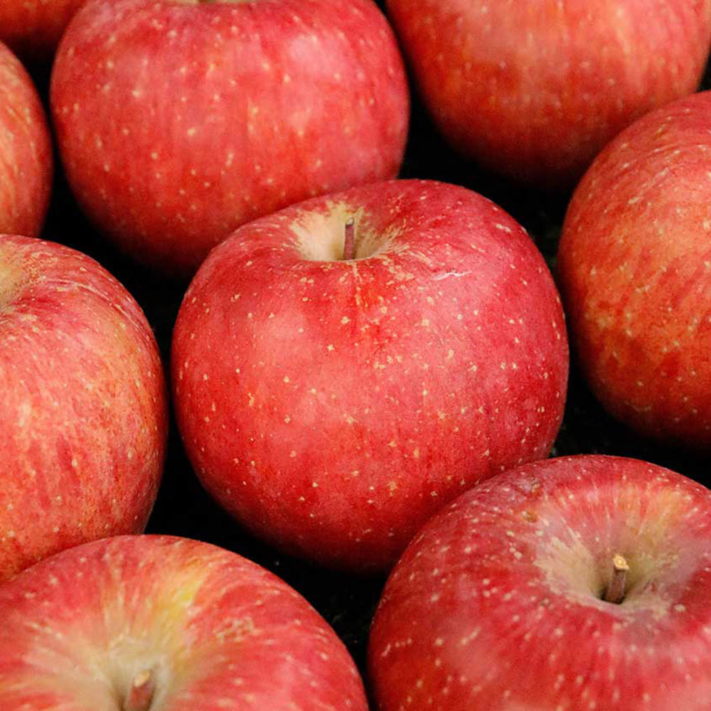 1701243230 thumbnail