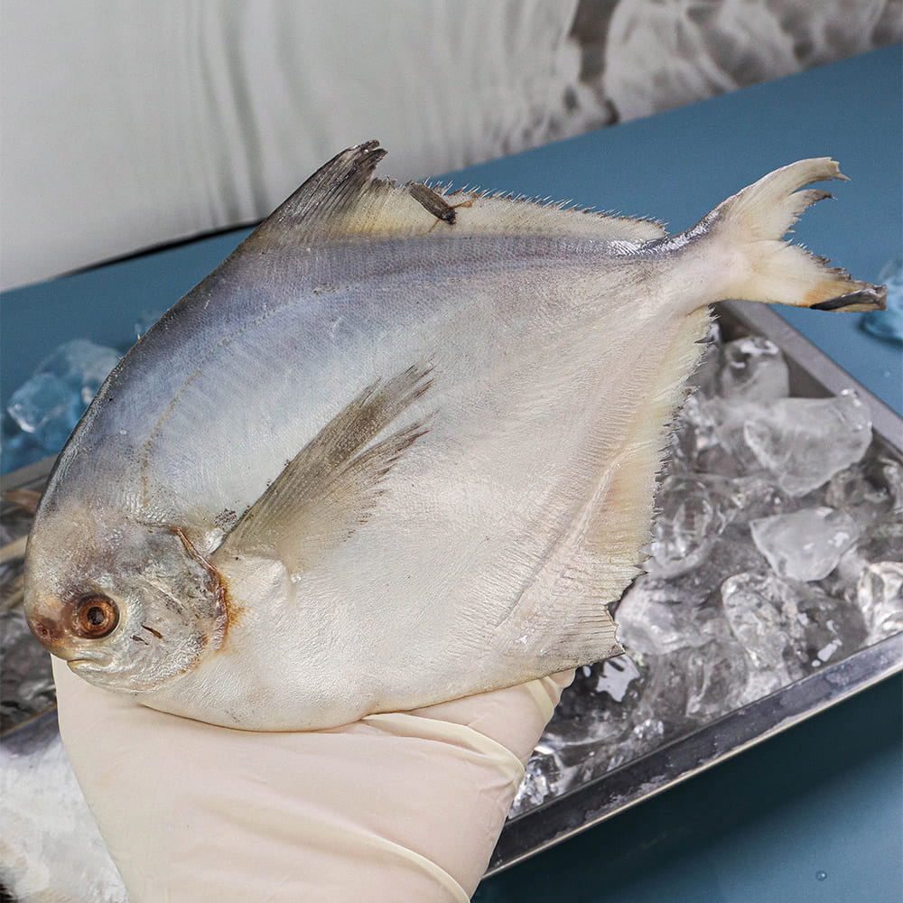 1701243232 thumbnail