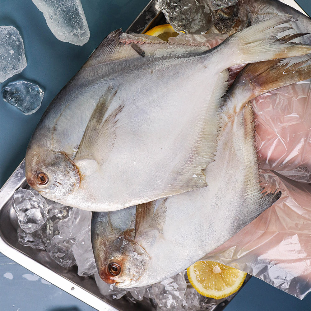 1701243233 thumbnail