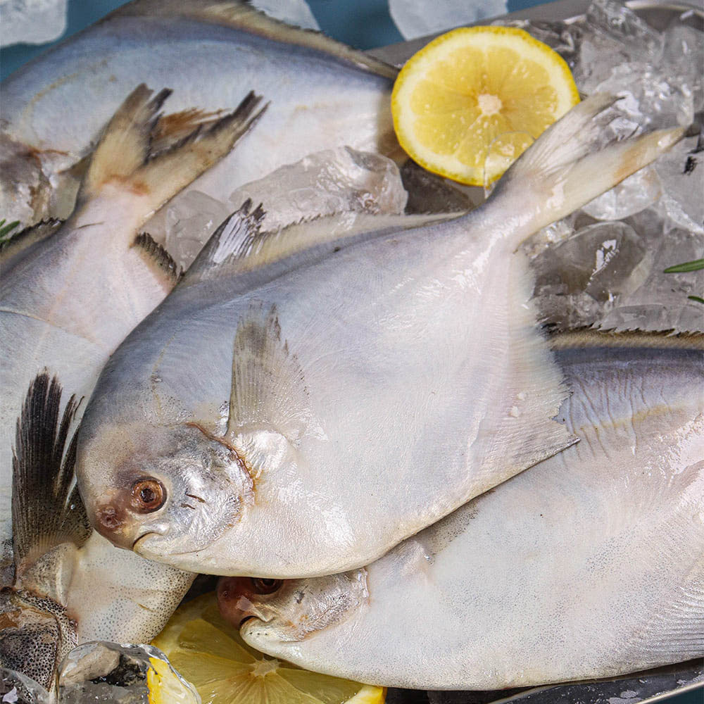 1701243234 thumbnail