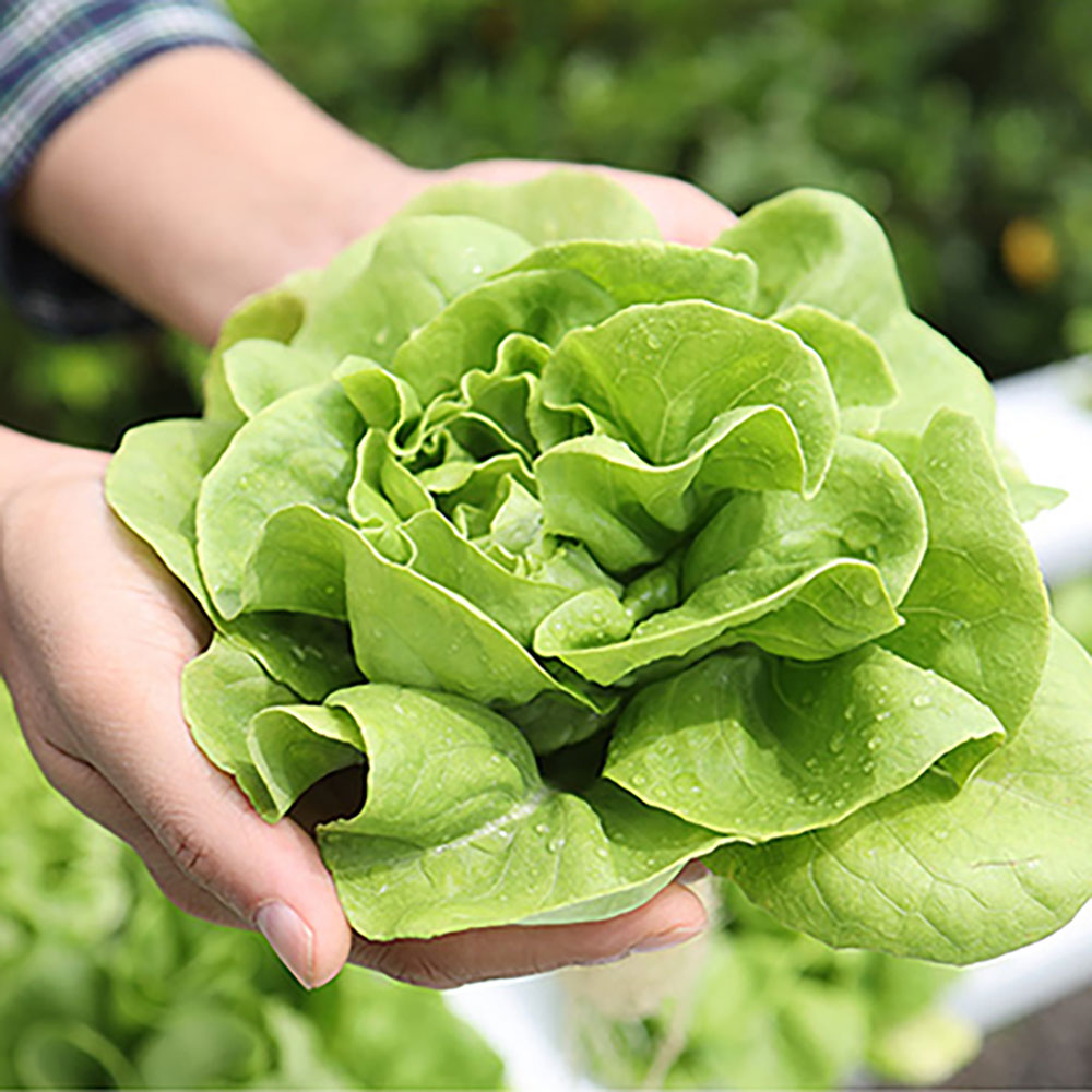 1701243235 thumbnail