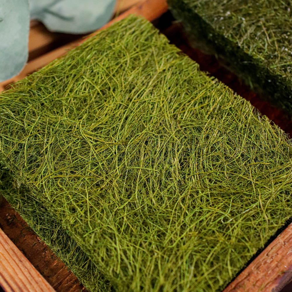 1701243244 thumbnail