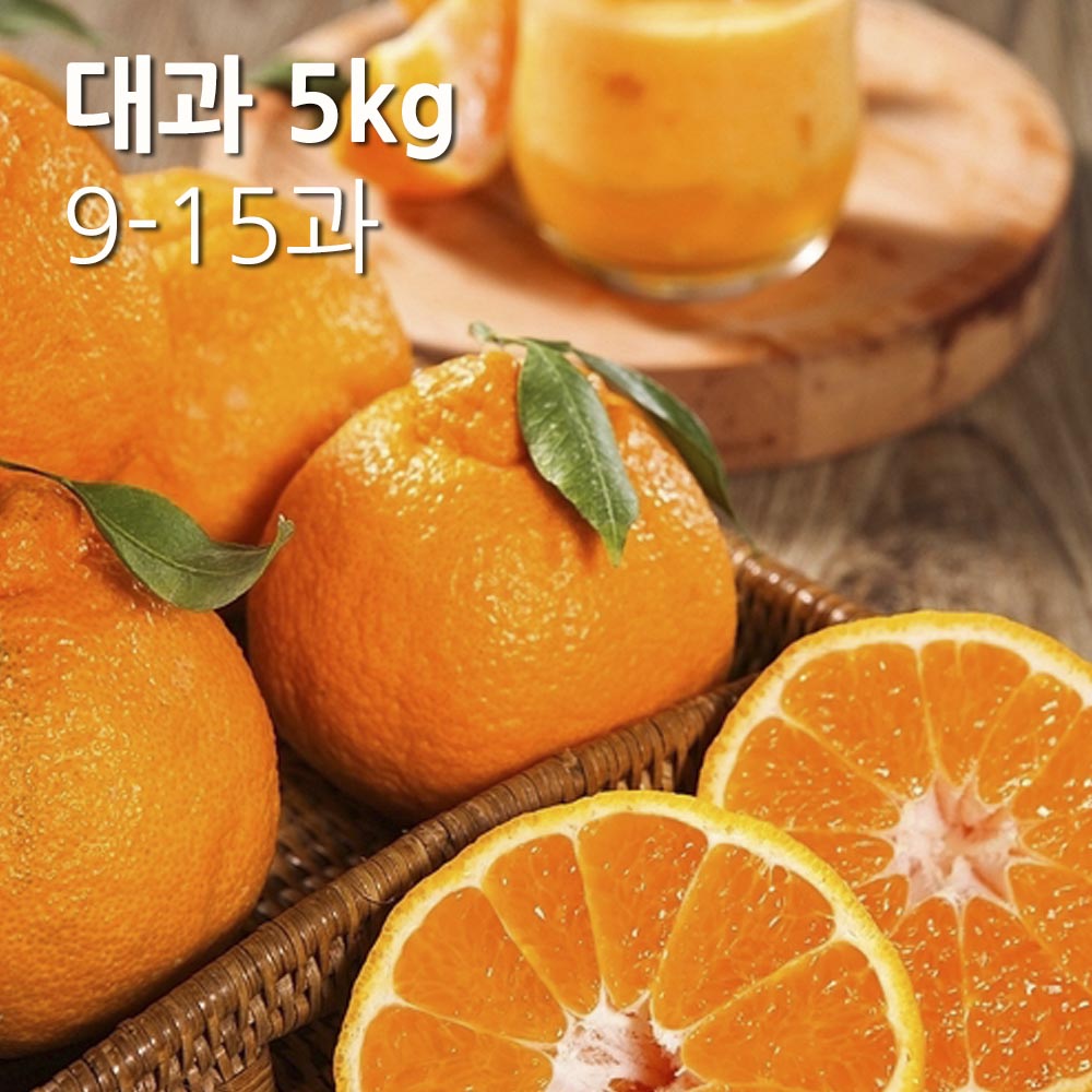1701396917 thumbnail