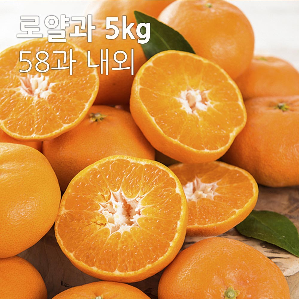 1701396919 thumbnail