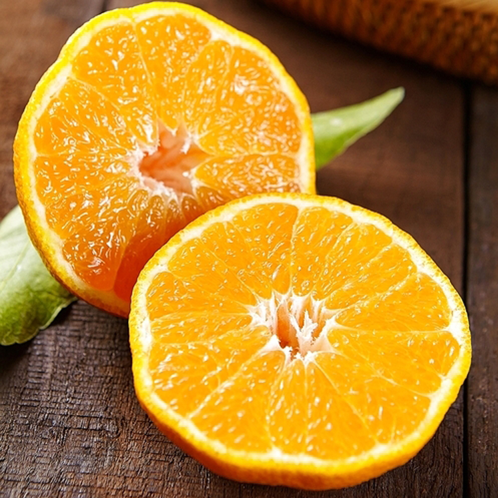 1701665542 thumbnail