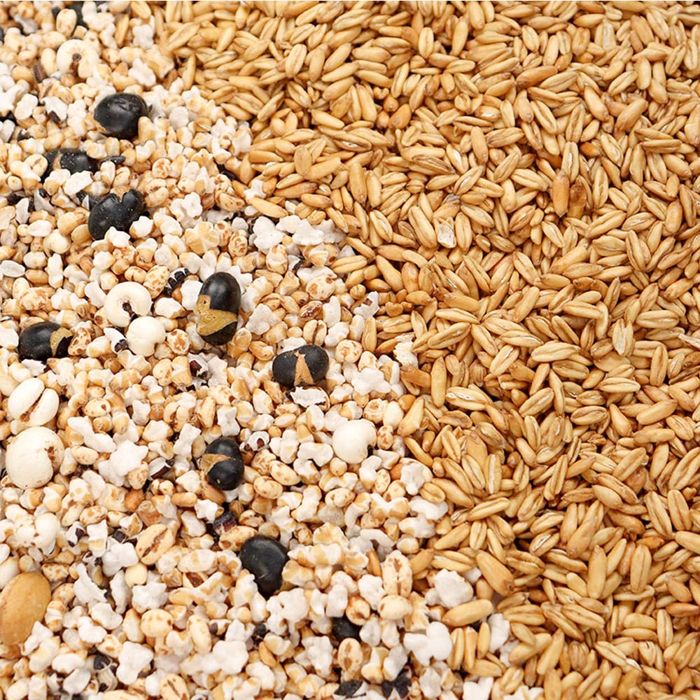 1701747922 thumbnail