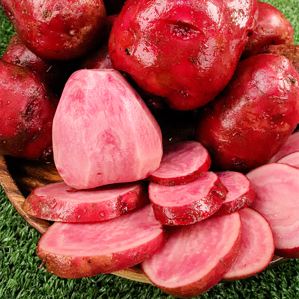 1701747927 thumbnail