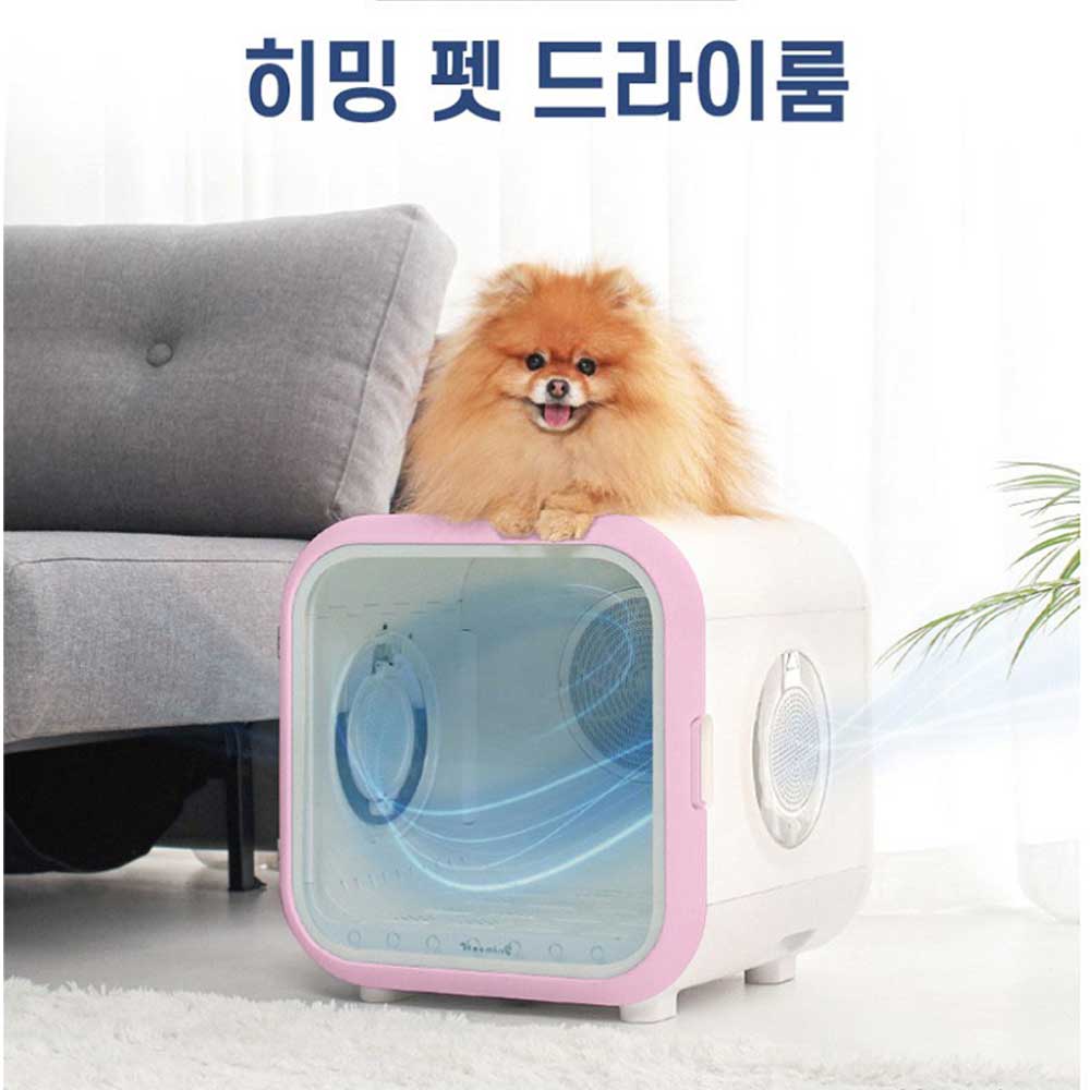 1701747955 thumbnail