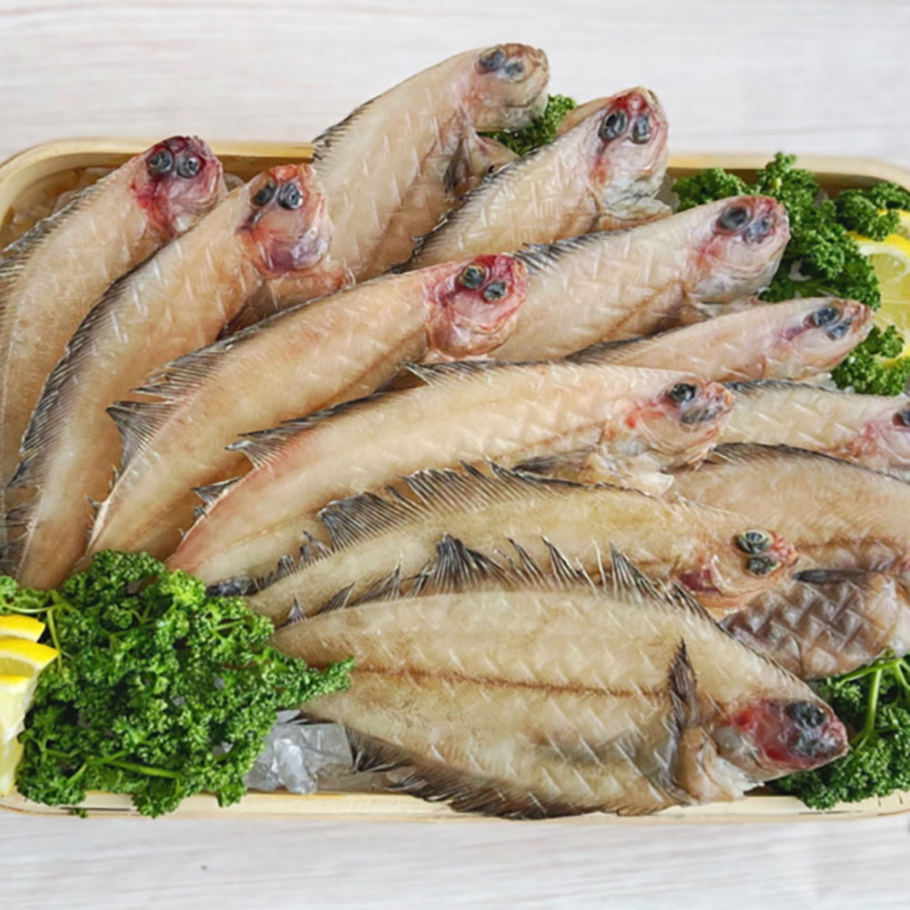 1701759484 thumbnail