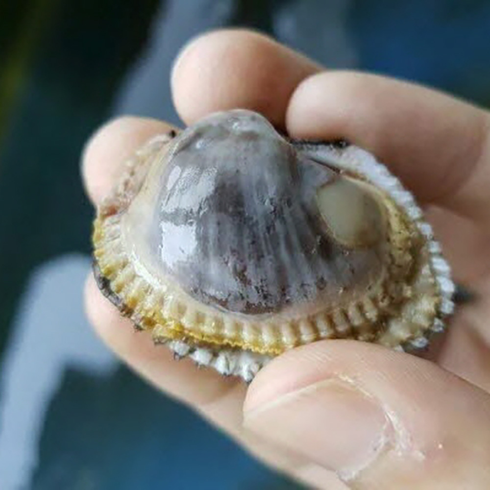 1701759487 thumbnail