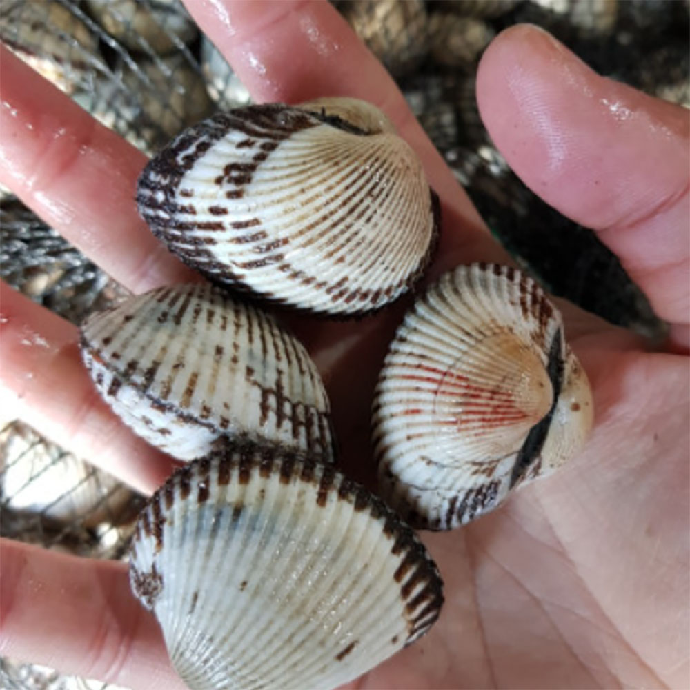 1701759489 thumbnail