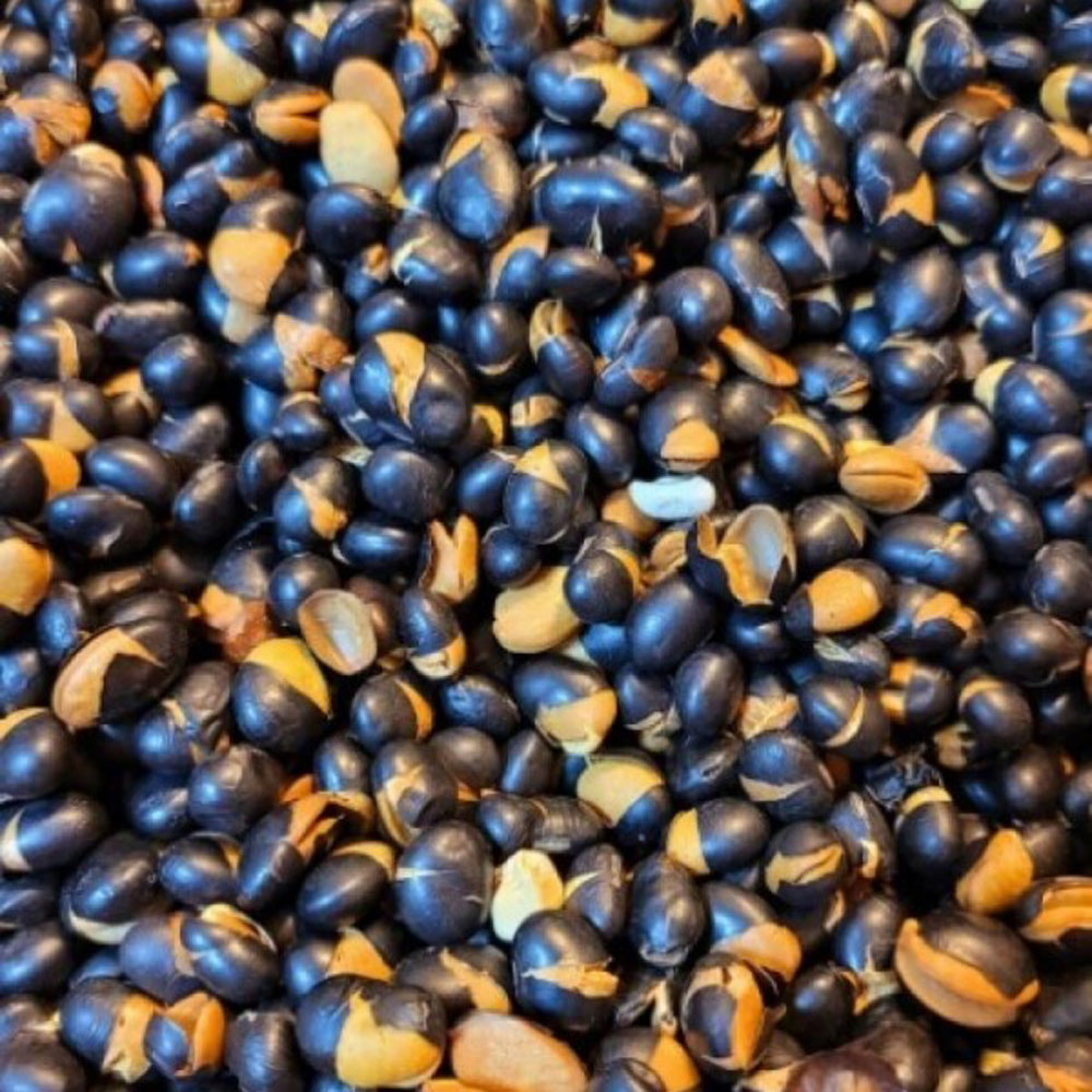 1701827330 thumbnail