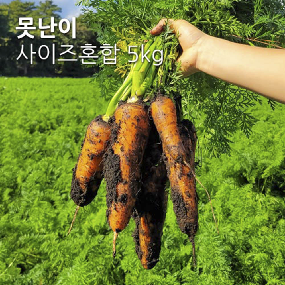 1702012482 thumbnail