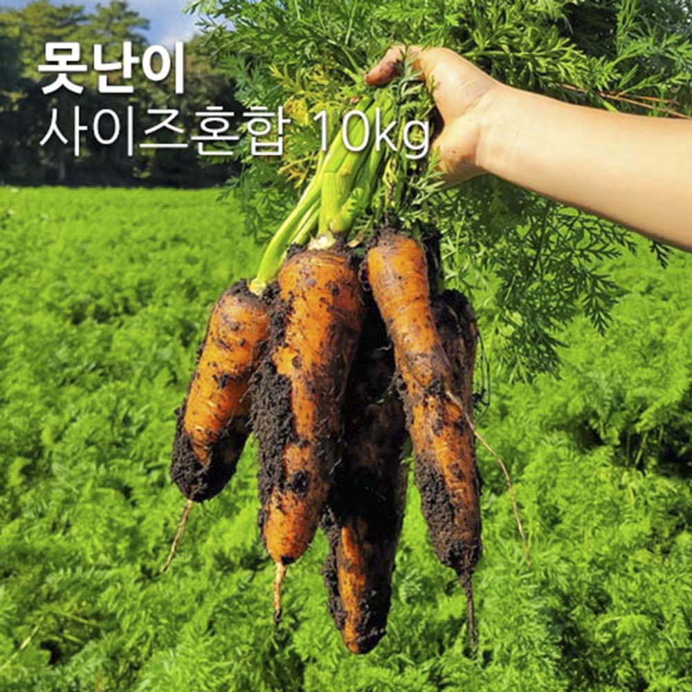 1702012483 thumbnail