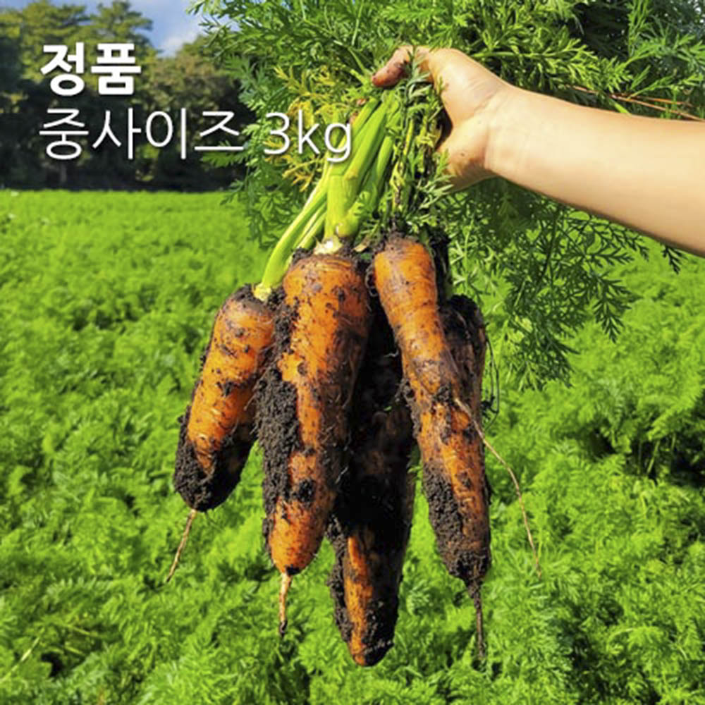 1702012484 thumbnail