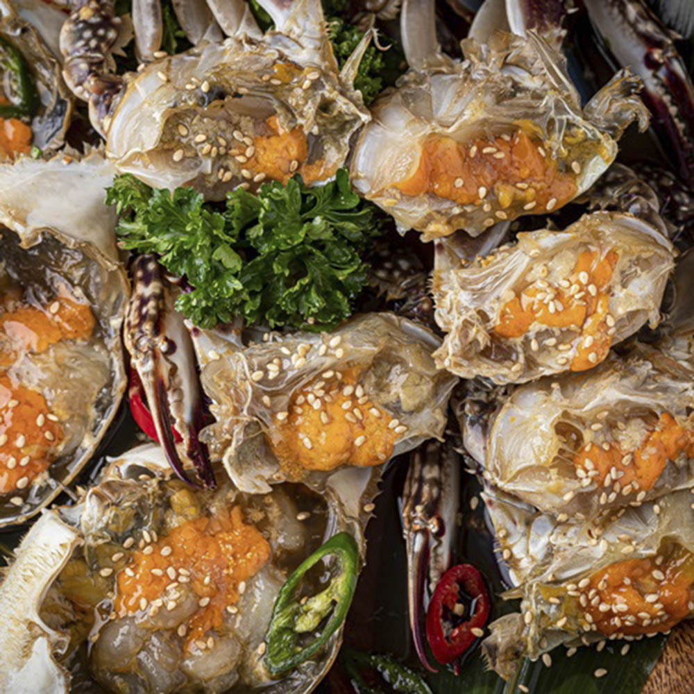 1702012486 thumbnail