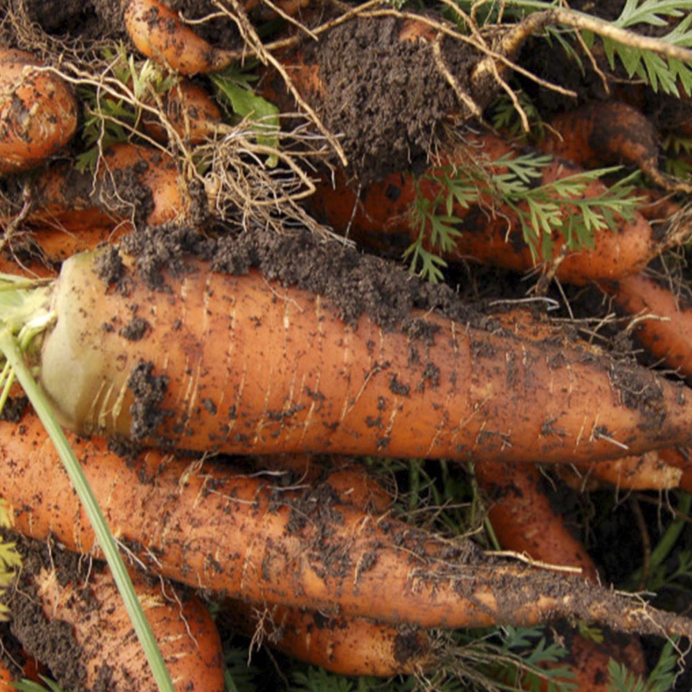 1702368189 thumbnail