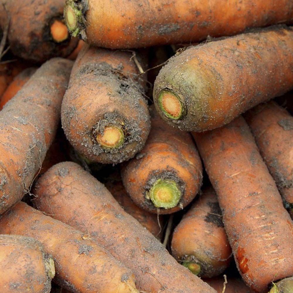 1702368190 thumbnail