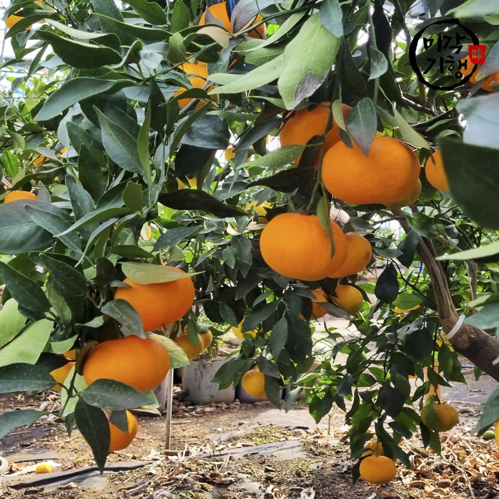 1702368227 thumbnail