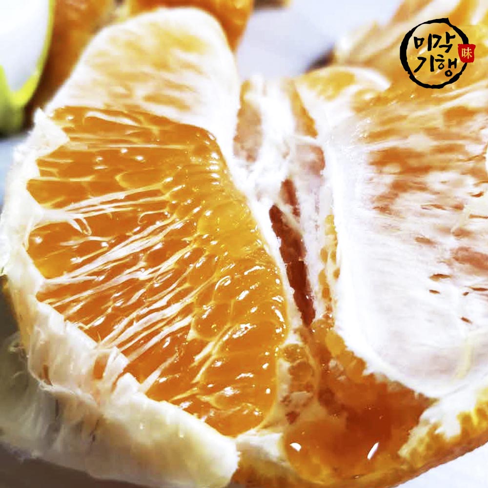 1702368228 thumbnail