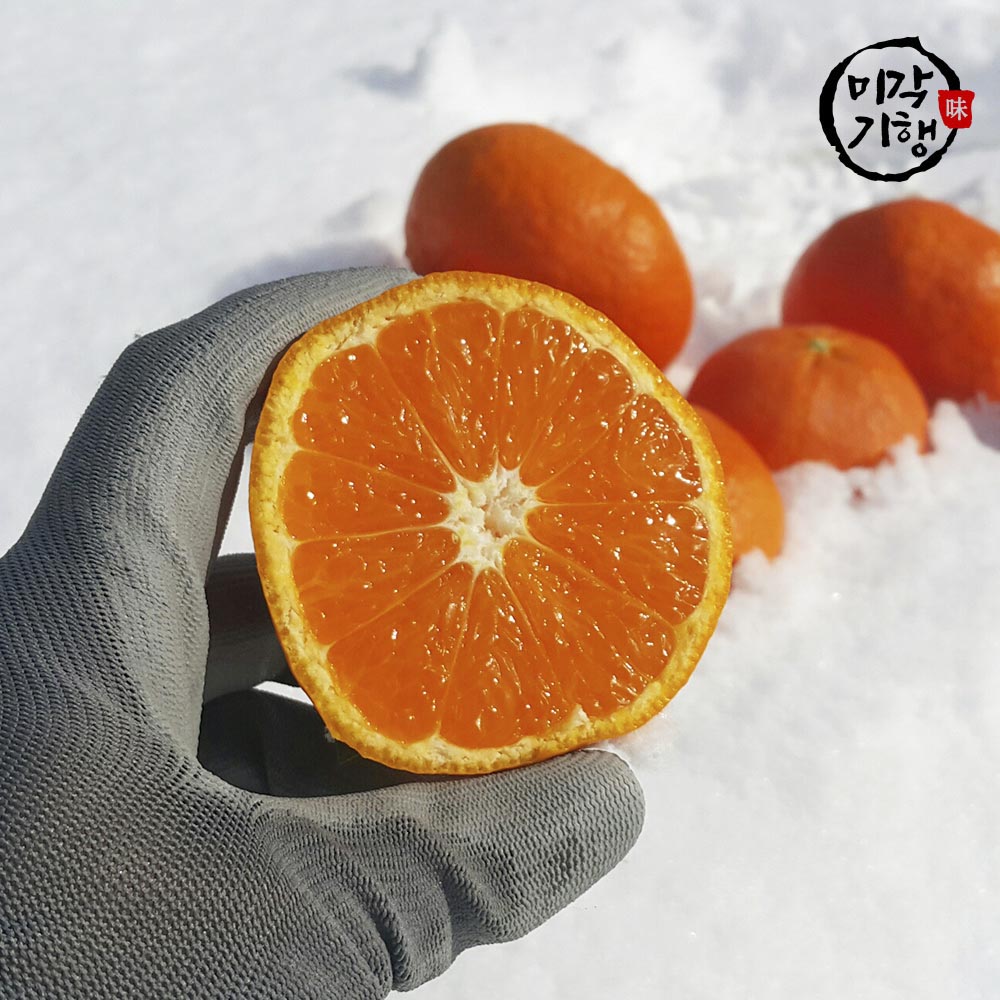 1702368229 thumbnail