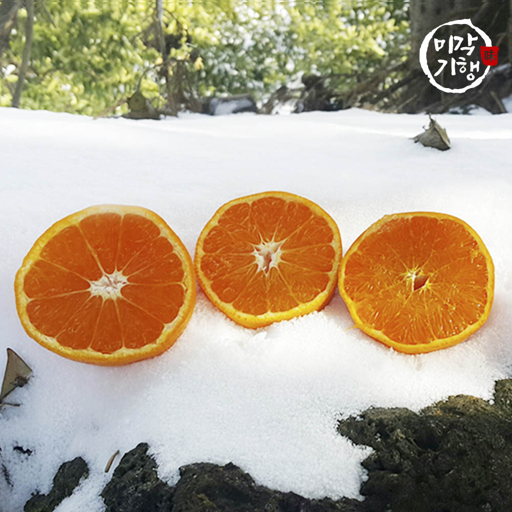 1702368230 thumbnail