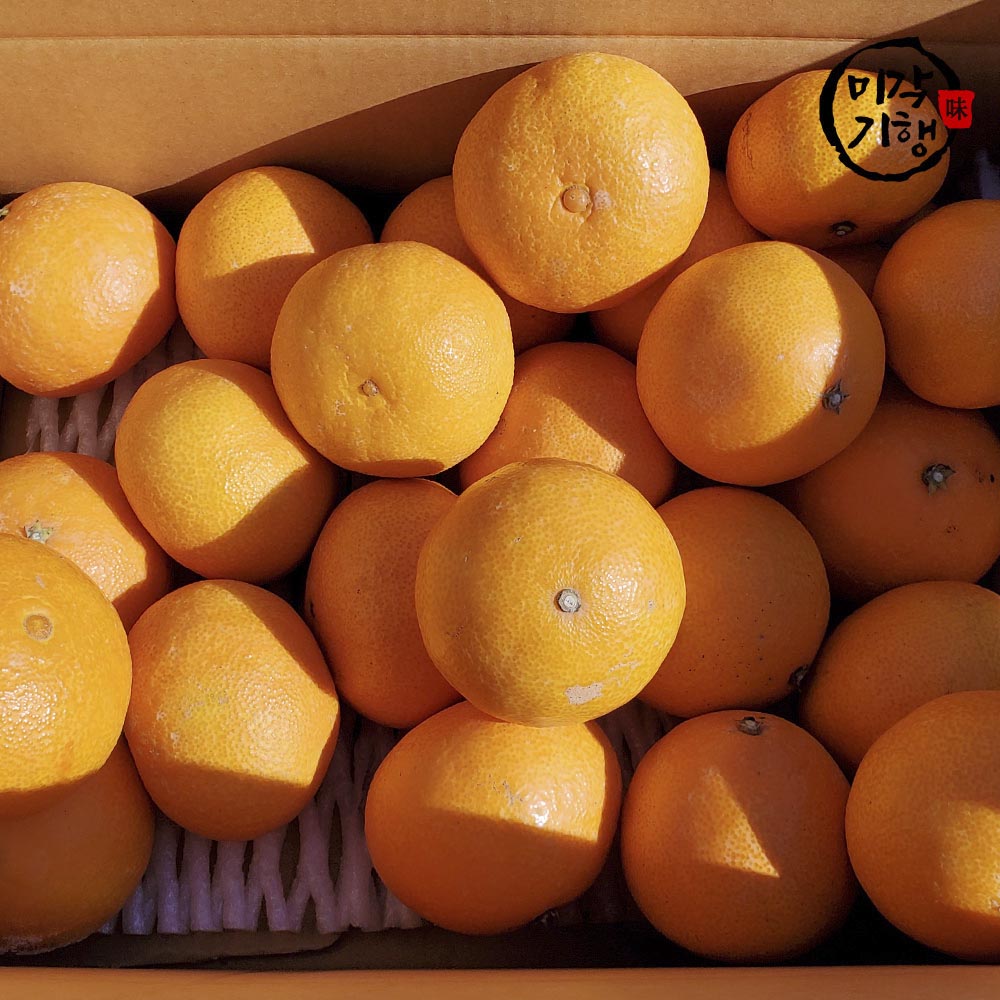 1702368240 thumbnail