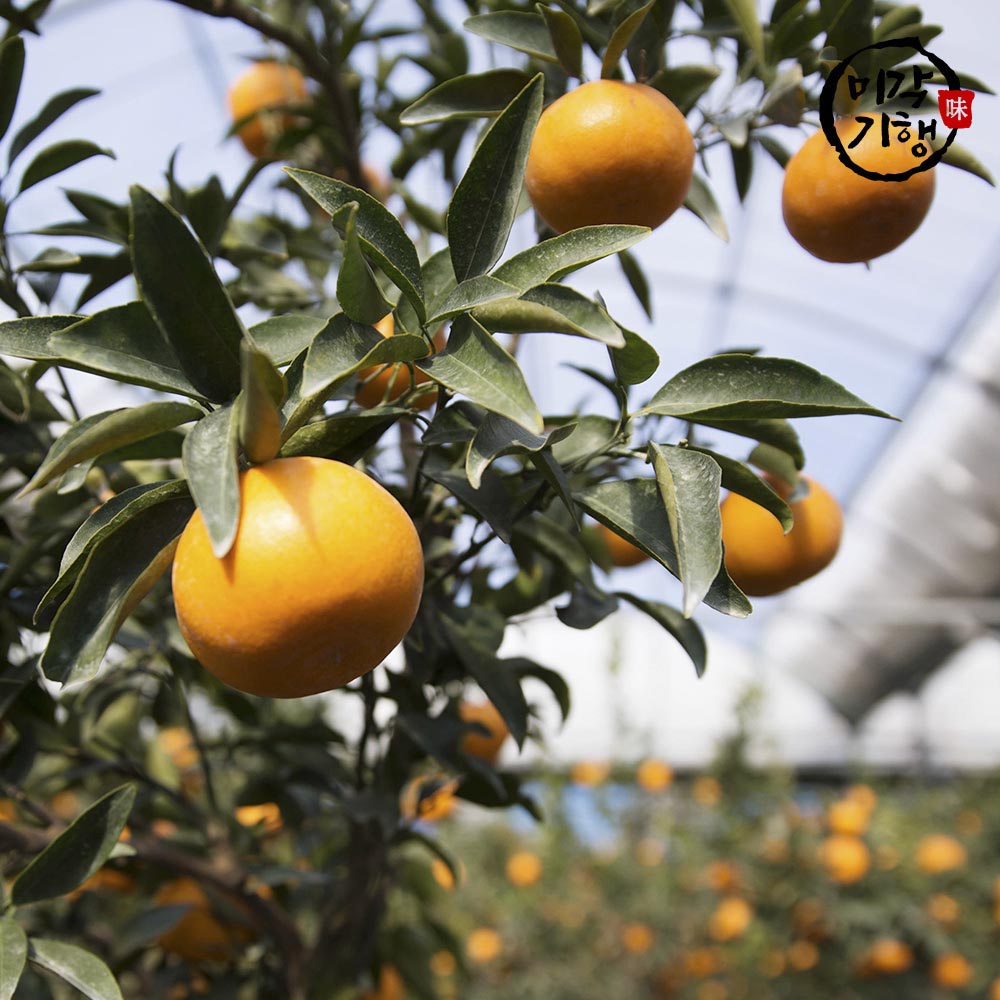 1702368244 thumbnail