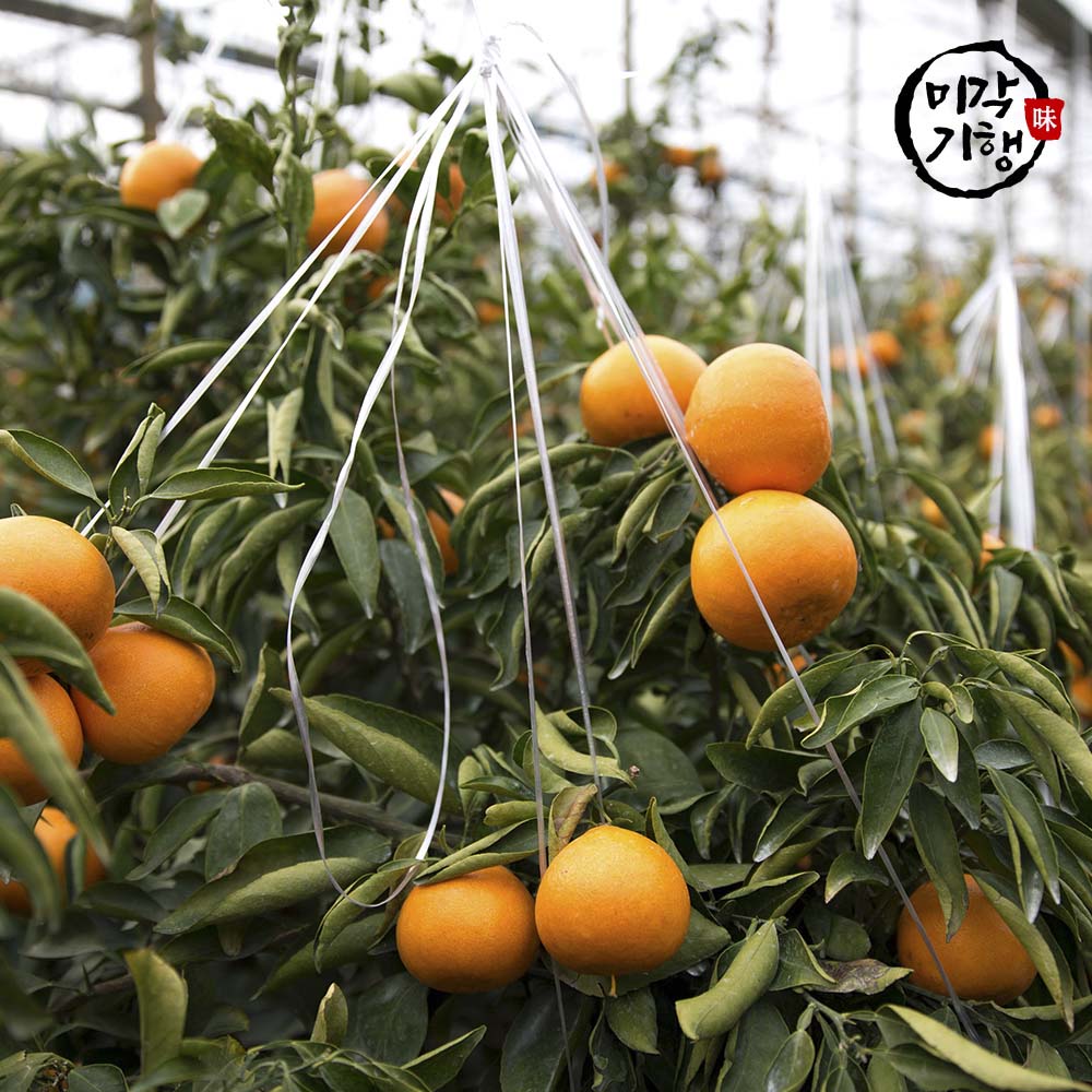 1702368245 thumbnail