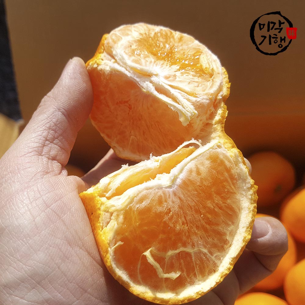 1702368251 thumbnail