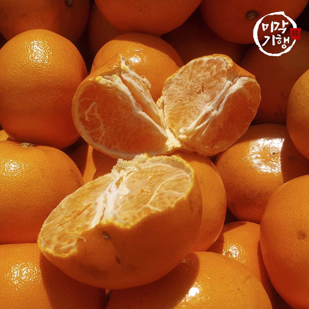 1702368254 thumbnail