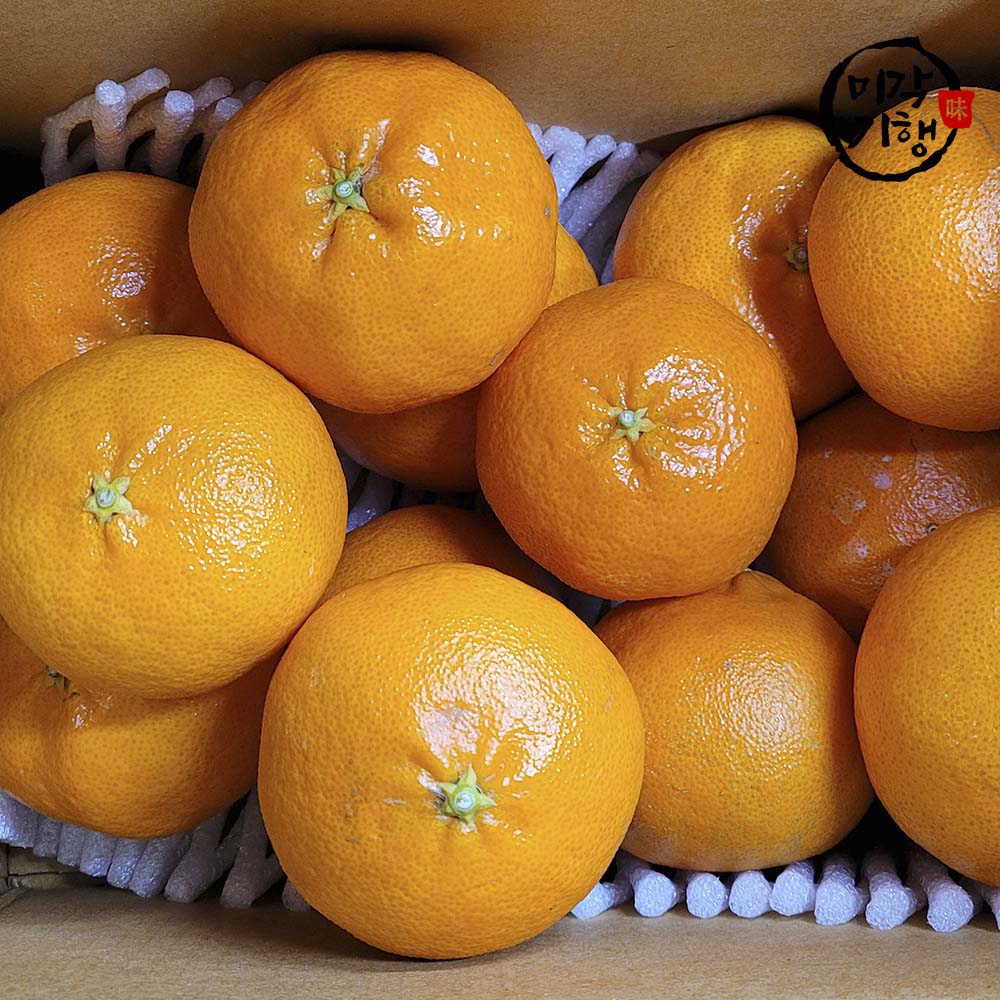 1702368255 thumbnail