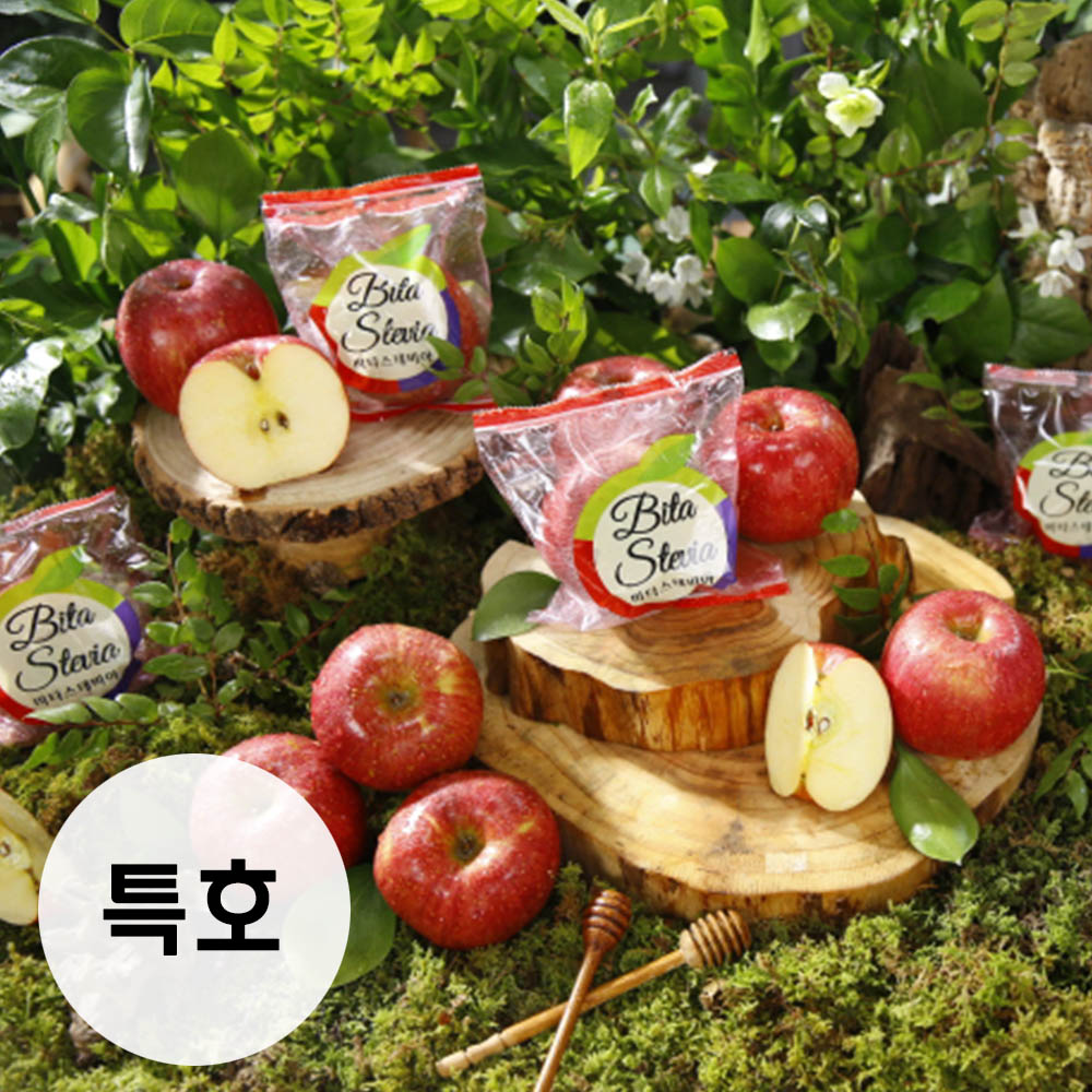 1702368535 thumbnail