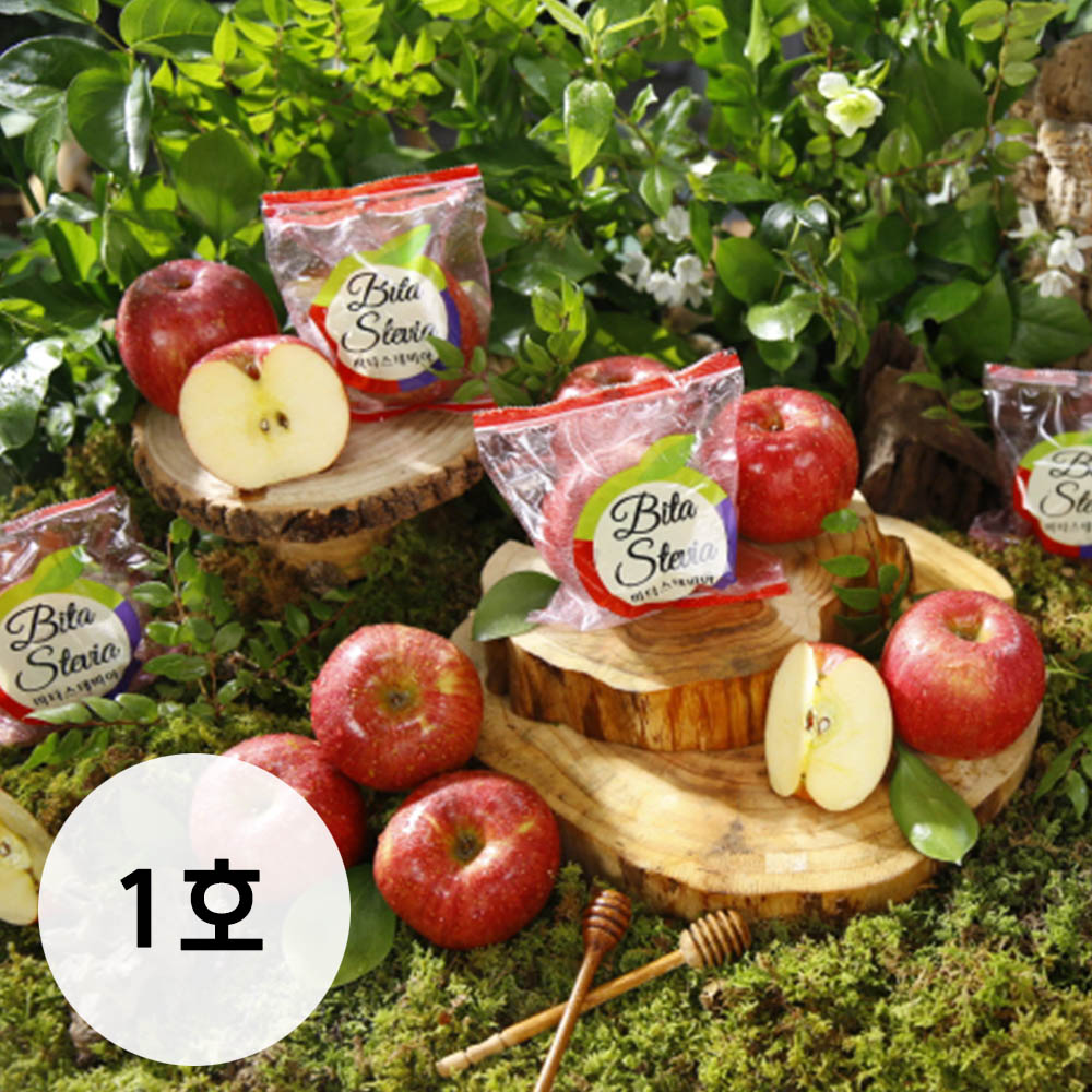 1702368536 thumbnail