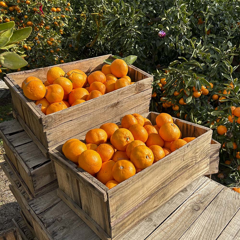 1702369610 thumbnail