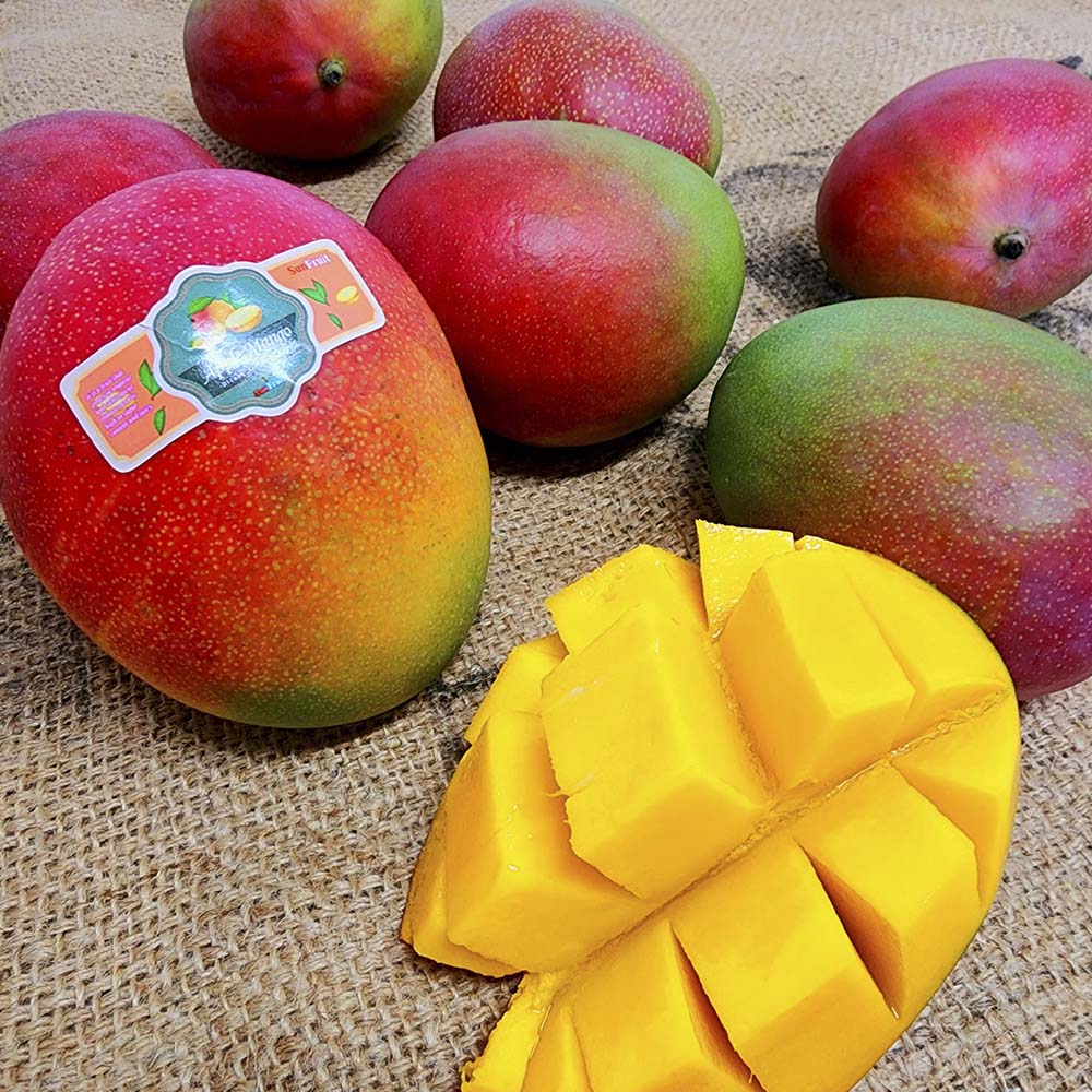 1702369611 thumbnail