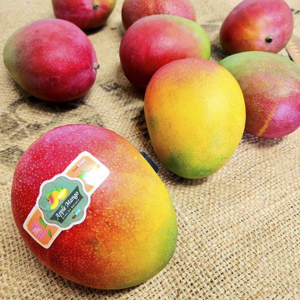 1702369612 thumbnail